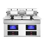 Auto-Lifting Commercial Electric Deep Fryer for Restaurant Hotel & Food Shop