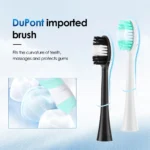 Electric Toothbrush 6 Brush Heads Sonic Electric Toothbrush with 31000VPM Deep Clean 6 Modes Waterproof Rechargeable for Adults - Image 4